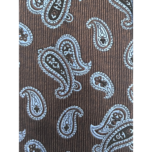 Brown Paisley Dream Tie